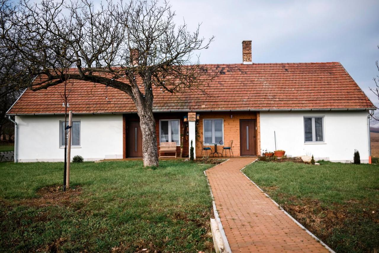 TörökbálintHouse Of The Golden Horse In Hosszureti Lovas Major公寓 外观 照片
